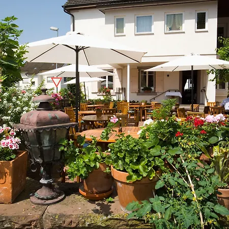 Hotel Hirsch-3