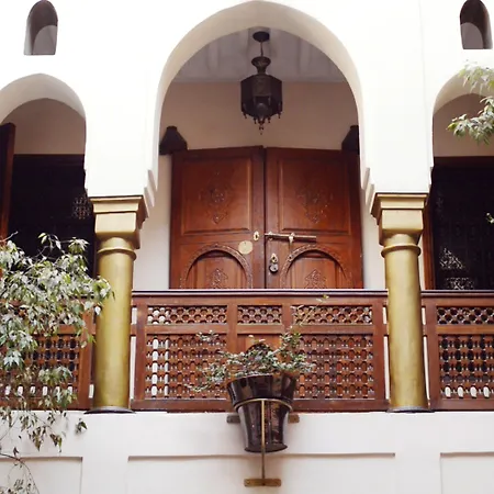 Riad Wow-2