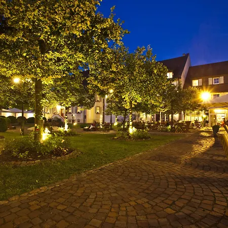 Schloss Reinach-3