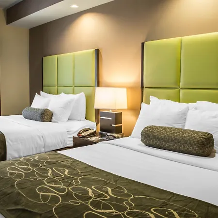 Comfort Suites New Bern Near Cherry Point-3