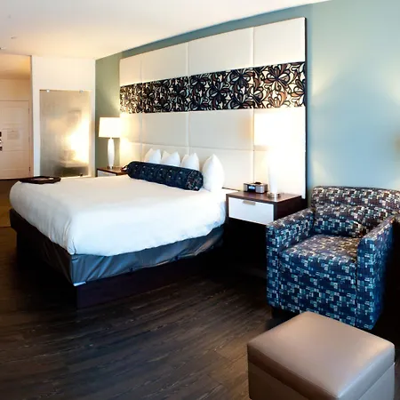 Hotel Indigo Waco By Ihg-2