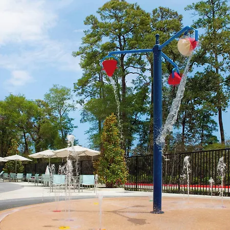 Springhill Suites By Marriott Houston The Woodlands-3