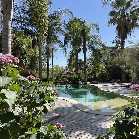 Cannes Villa St Barth-3