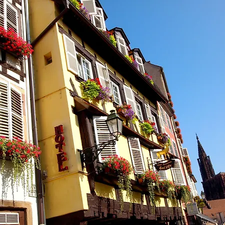 Hotel Restaurant Au Cerf d'Or-3