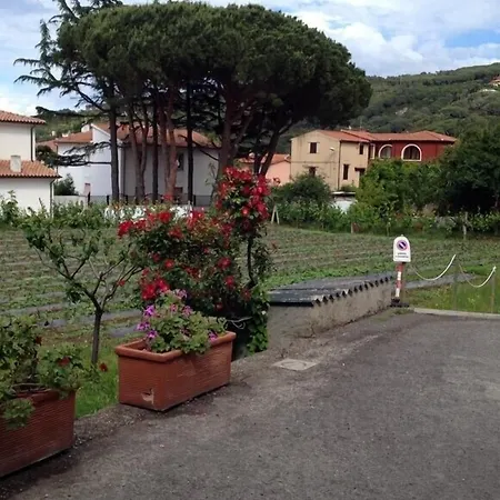 Hotel Casa Lupi-3