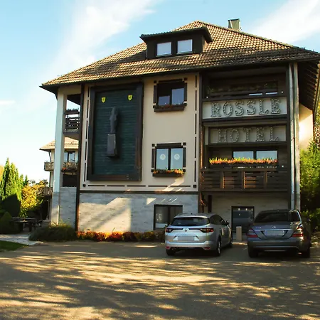 Hotel Roessle-3