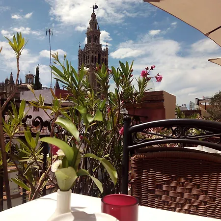 Hotel Palacio Alcazar-3
