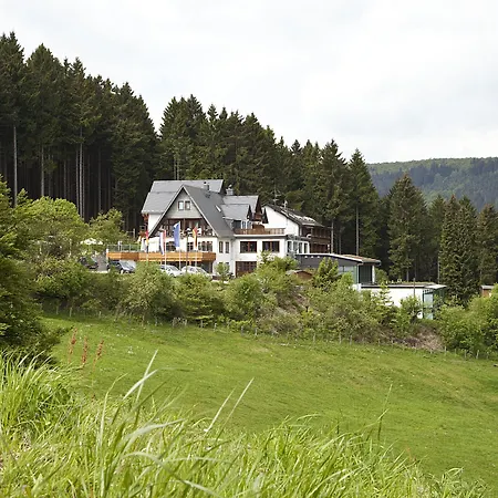 Wald Hotel Willingen-2