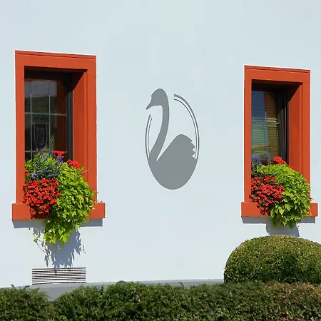 Hotel Landgasthof Schwanen-3
