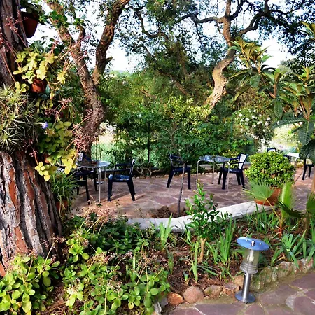 Hostal Magnolia-2
