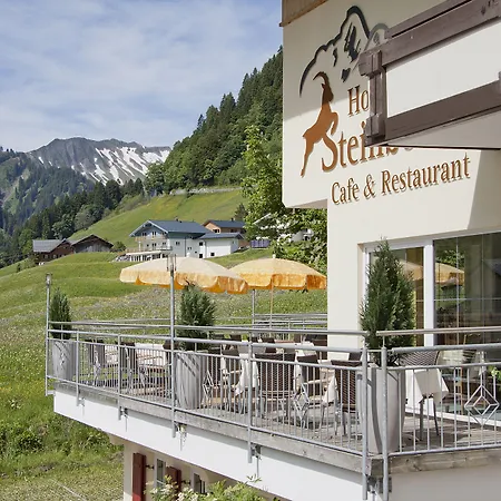 Hotel Steinbock-3