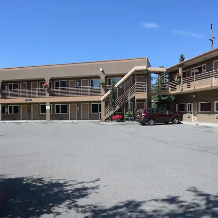Puffin Inn-3