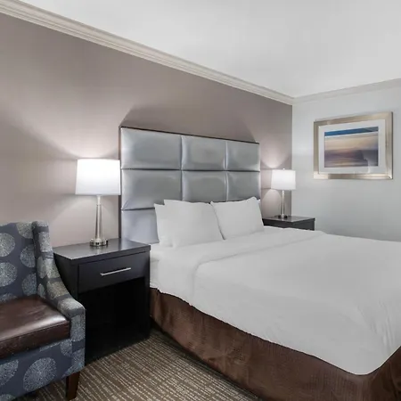 Best Western Webster Hotel, Nasa-3