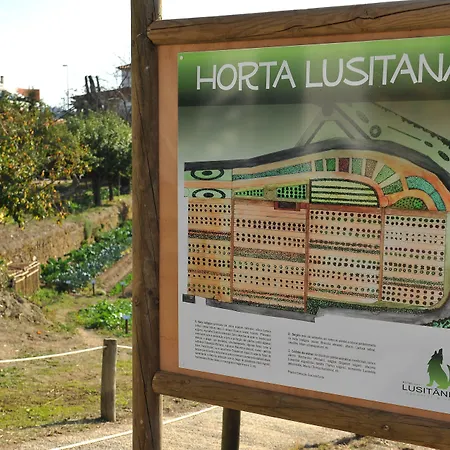 Hotel Lusitania Congress & Spa-2