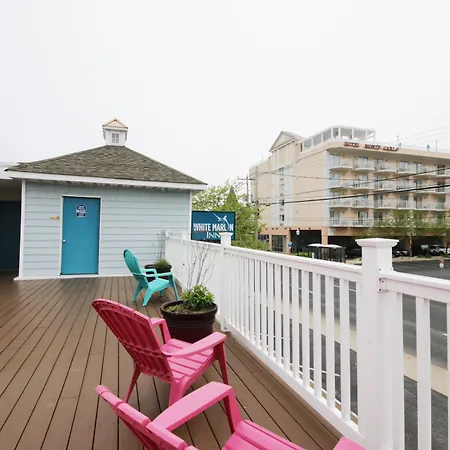 White Marlin Inn-2