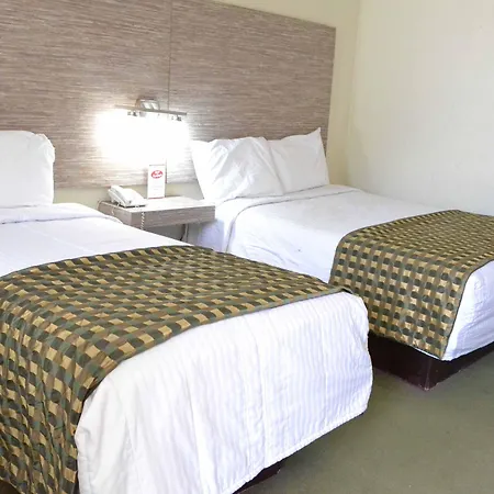 Hotel Flamingo-2