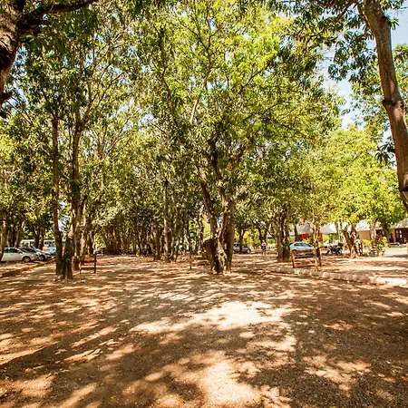 Hotel Fazenda Mato Grosso-3