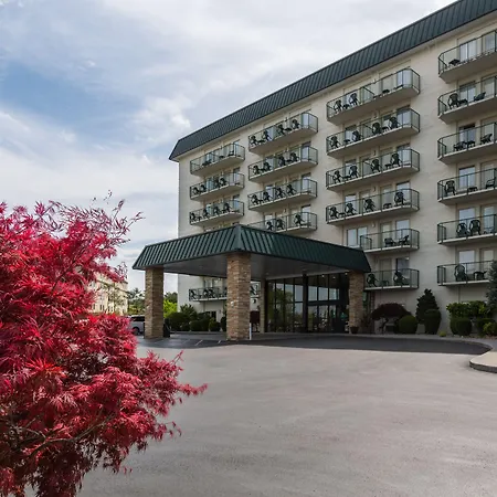 Park Grove Inn-2