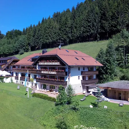 Hotel Blaue Gams ***S-2