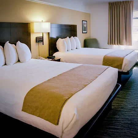 Pines Inn & Suites-3