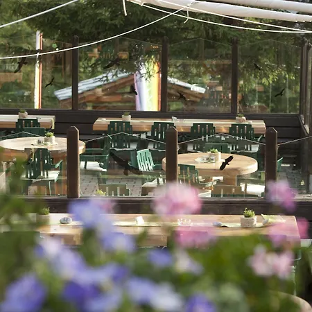 Silvana Mountain Hotel-3