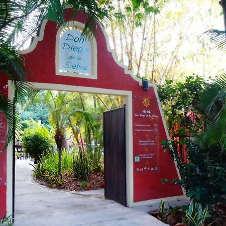 Casa Don Diego-2