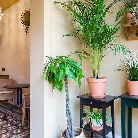 Casa Maca Guest House-3