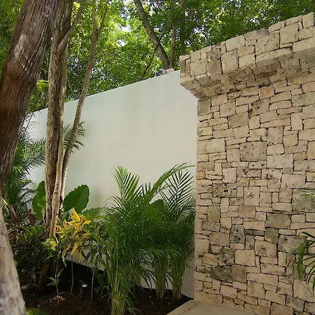 Livetulum-2