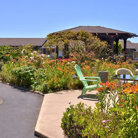 Surf Motel And Gardens-3
