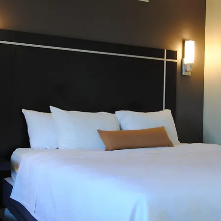 The Gin Hotel, An Ascend Collection Hotel-2