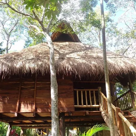 Casa Mango-2