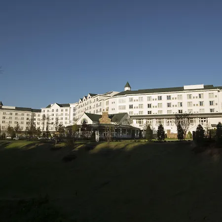 Dollywood'S Dreammore Resort And Spa-3