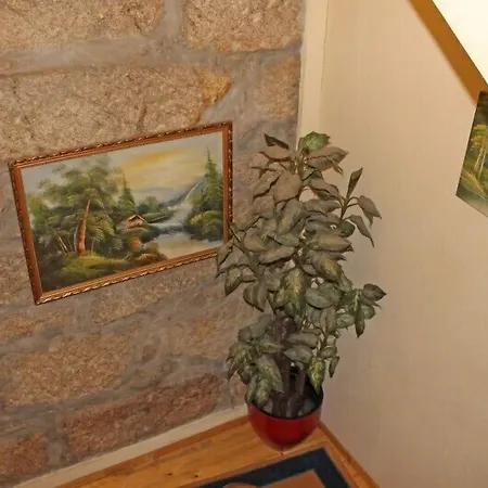Guest House Estrela-3