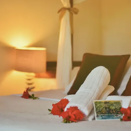 Paua Hotel Boutique-3