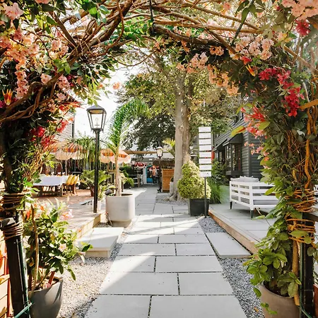 American Beech Hotel-2