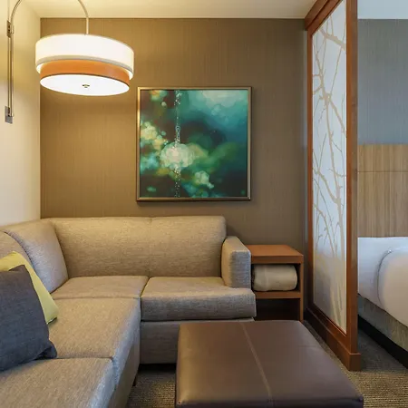 Hyatt Place Houston Galleria-2