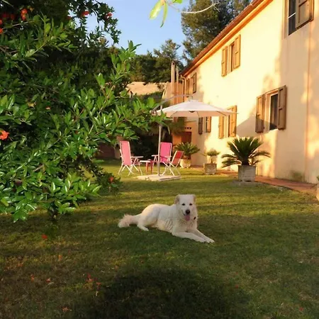 B&B Glicine-3