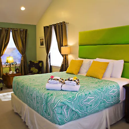 Malolo Bed And Breakfast-3