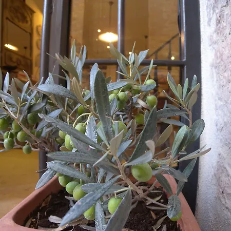 Bed&Breakfast A casa delle Fate-2