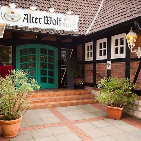 Hotel Alter Wolf-3