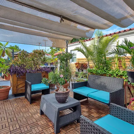 Oasis Hotel-3