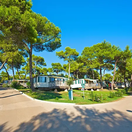 Arena Indije Mobile Homes-3