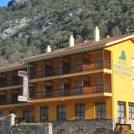 Hotel Principado De Europa-3