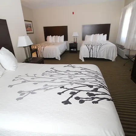 Bowman Inn And Suites-2