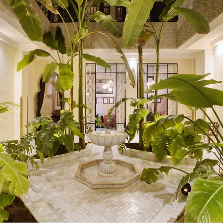 Riad Kheirredine-2