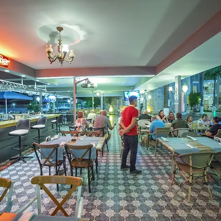 Alenz Suite-2