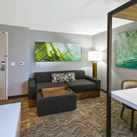 Springhill Suites By Marriott St. Joseph Benton Harbor-2