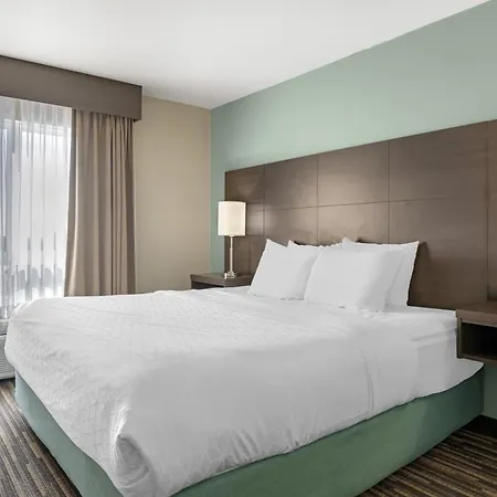 Best Western Plus Dartmouth Hotel & Suites-3