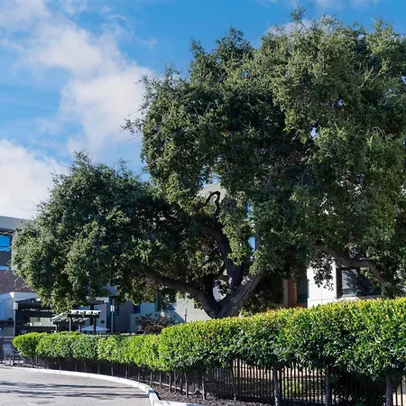 Homewood Suites By Hilton Palo Alto-3
