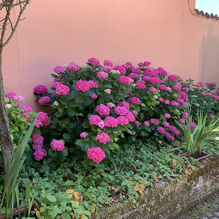 La Casa Celeste B&B-3